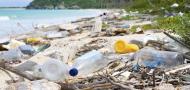 Marine bioindicators for drugs and plastic contamination Marine bioindicators for drugs and plastic contamination