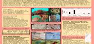 Ascidians as bio-indicators of micro-plastic and phthalates in marine environment