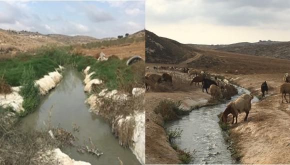 Investigating the Presence and Fate of Chromium Contamination in the Transboundary Hebron Stream