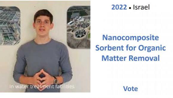 Nanocomposite Sorbent for Organic Matter Removal